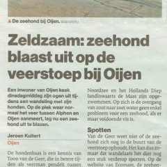 2022-02-24-Brabants-Dagblad-Zeehond-op-veerstoep-bij-Oijen